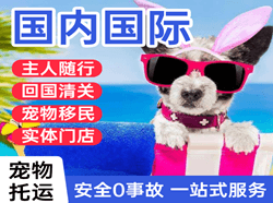 太平空运地址国际宠物托运 【国